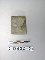 藏品(小型磨製石錛)的圖片